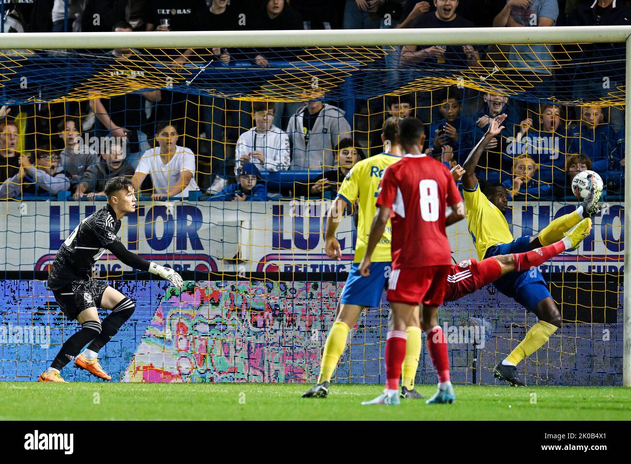 Sheldon bateau de Beveren marque un but non-latéral lors d'un match de football entre SK Beveren et SL16 (Standard Liège u23), le samedi 10 septembre 2022 à Beveren-Waas, le jour 5 de la 2022-2023 'Challenger Pro League' 1B deuxième division du championnat belge. BELGA PHOTO TOM GOYVAERTS Banque D'Images