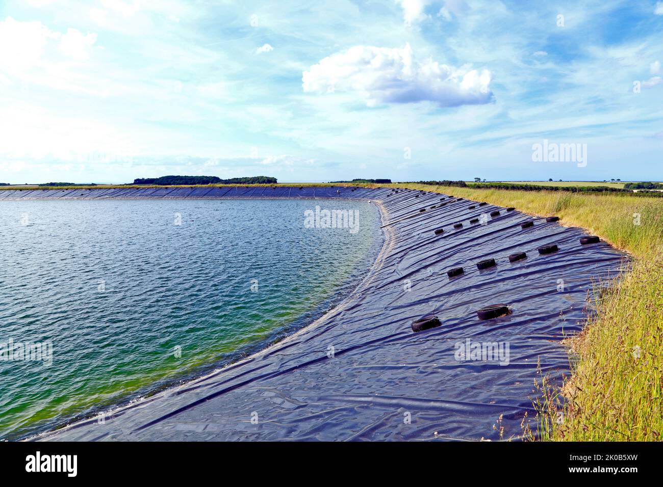 Réservoir agricole, l'homme a fait, l'approvisionnement en eau pour l'agriculture, Norfolk, Angleterre, l'irrigation des cultures, UK Banque D'Images