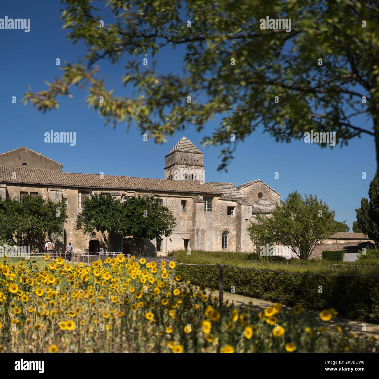 Monastère de Saint-Paul de Mausole, Saint-Rémy-de-Provence, Provence, France. Banque D'Images