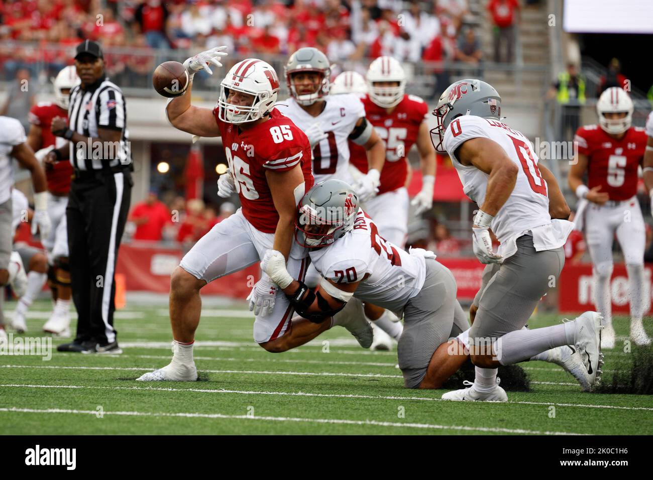 Madison, WI, États-Unis. 10th septembre 2022. Le bord de l'État de Washington Quinn Roff pointue la balle en vrac de Wisconsin Badgers Tight End Clay Cundiff (85) pendant le quatrième quart du match de football de la NCAA entre les Washington State Cougars et les Wisconsin Badgers au Camp Randall Stadium à Madison, WISCONSIN. Darren Lee/CSM/Alamy Live News crédit: CAL Sport Media/Alamy Live News Banque D'Images