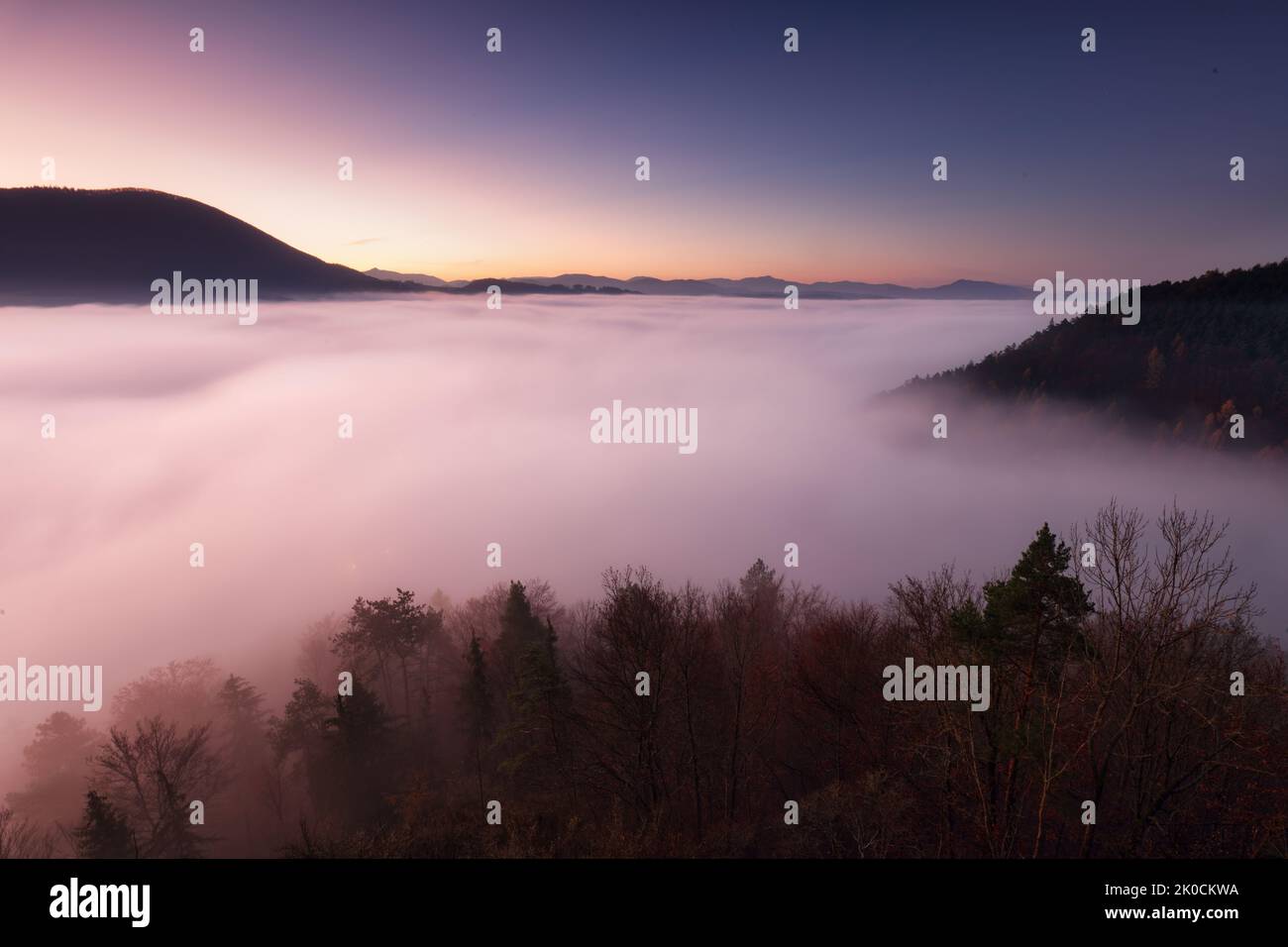 Le brouillard de mer dans la lumière rose est très beau et fabuleux, pittoresque vague ondulée sur les pentes des sommets Banque D'Images