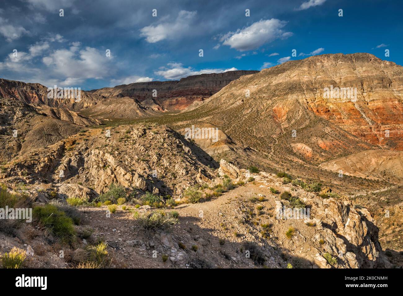 Beaver Dam Mountains Wilderness, Cedar Pockets Wash Area, vue depuis Cedar Pocket Road (route 1005), désert de Mojave, Arizona Strip, Arizona, États-Unis Banque D'Images