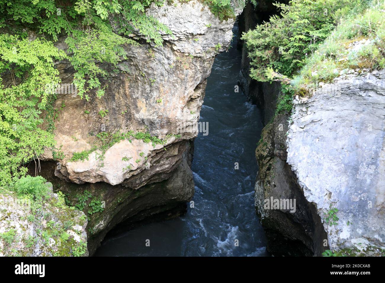 Vue sur la gorge profonde de Khadzhokh avec des rochers blancs en été, Adygea Banque D'Images