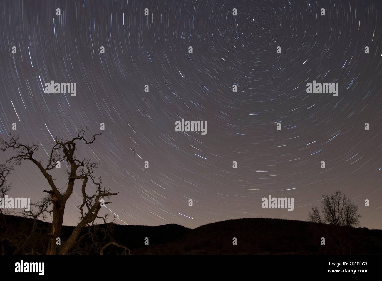 Une longue exposition d'un ciel nocturne rempli d'étoiles, avec des arbres et des collines silhouettes Banque D'Images