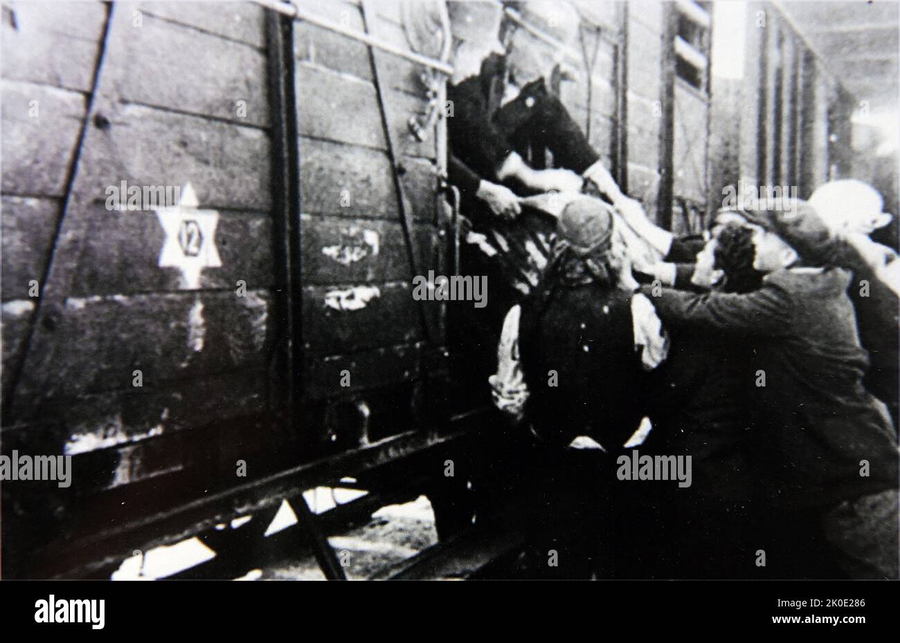 Les Juifs transportés sur des camions de bétail dans les camps de la mort comme Auschwitz