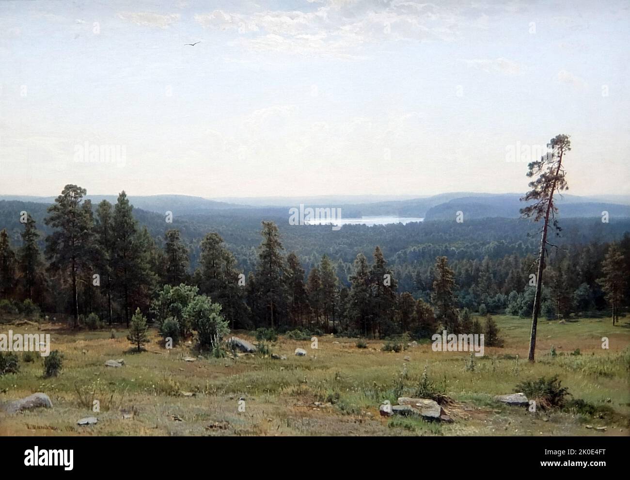Les vues lointaines de la forêt, 1884 par Ivan Ivanovitch Shishkin (1832 - 1898); peintre de paysage russe étroitement associé au mouvement Peredvizhniki. Banque D'Images