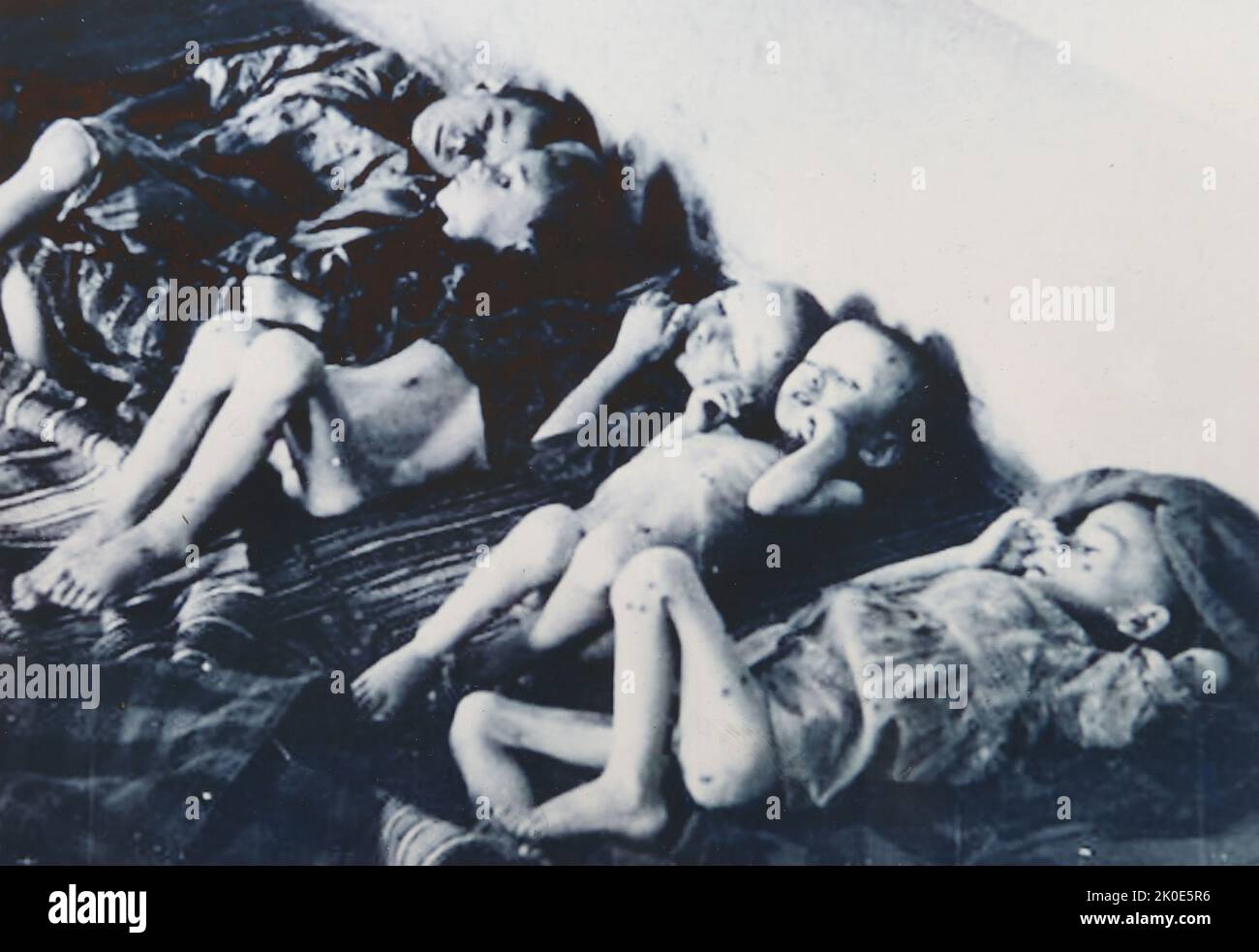 Les enfants prisonniers meurent de faim au camp de concentration de Jasenovac contrôlé par Ustasa. L'Ustasa (mouvement révolutionnaire croate) ou ustase était une organisation fasciste croate, entre 1929 et 1945. Jasenovac était un camp de concentration et d'extermination établi en Yougoslavie occupée pendant la Seconde Guerre mondiale Banque D'Images