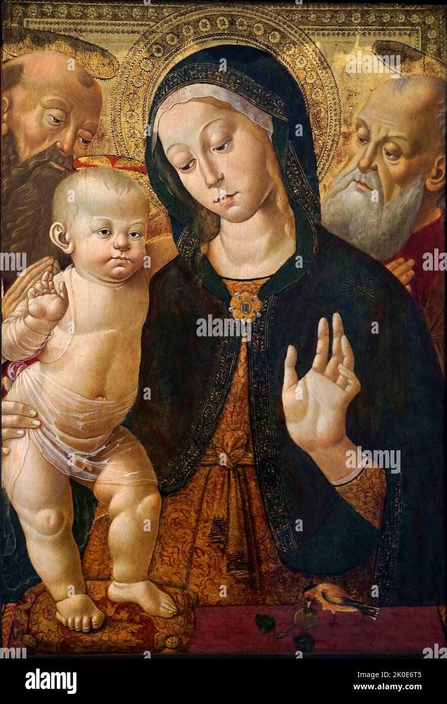 Madonna et l'enfant avec deux saints ermite par Bernardino Fungai, Italien, Sienese, (1460 - 1516). Tempera sur panneau début 1480s. Banque D'Images