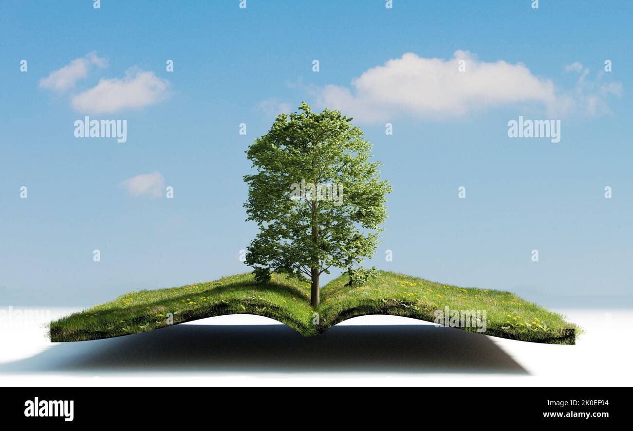 Livre ouvert avec champ d'herbe et arbre à l'intérieur du livre, 3D rendu d'illustration Banque D'Images