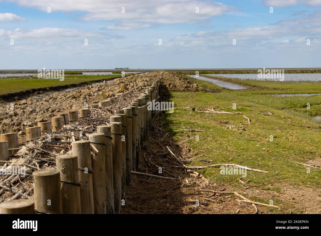 Barrière de bois pour la remise en état des terres dans la mer de wadden, mer du nord de l'Allemagne Banque D'Images