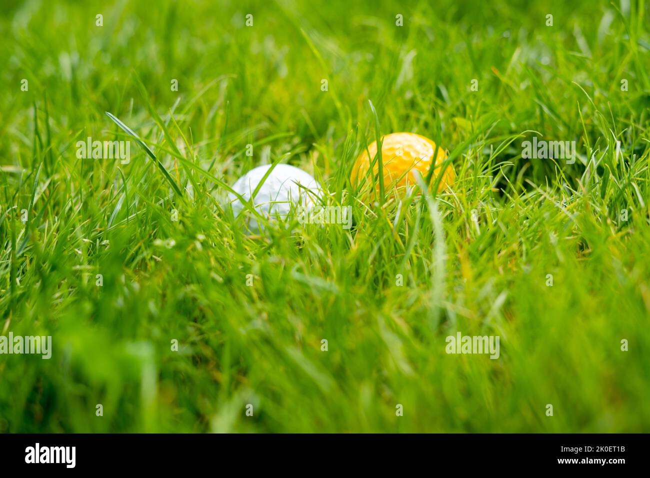 Deux balles de golf, blanches et jaunes, floues dans l'herbe Banque D'Images