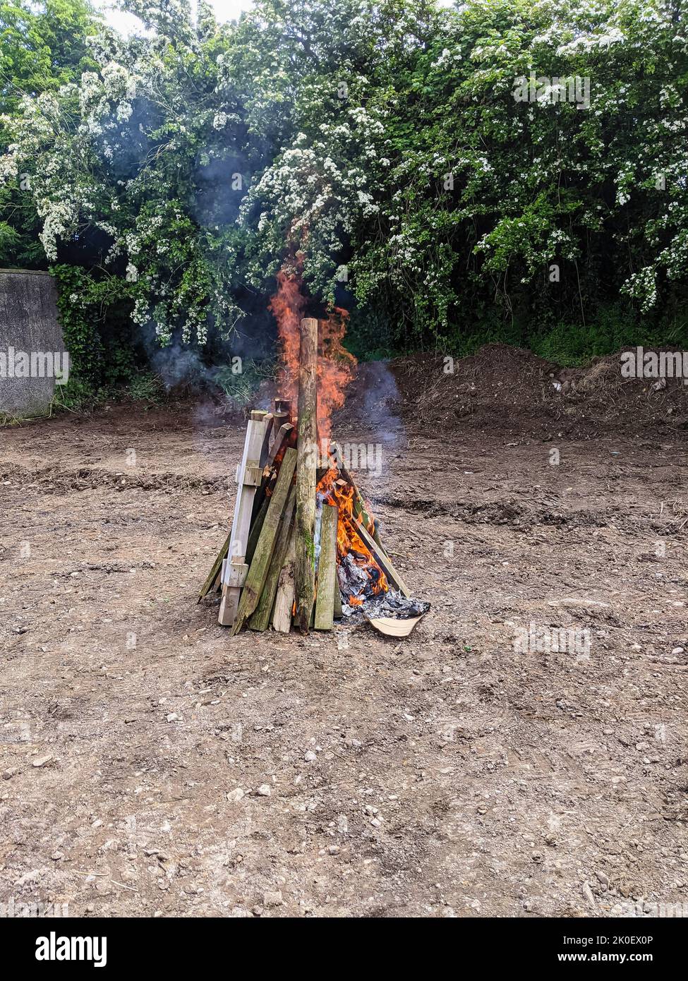 Un petit tas de bois est brûlé sur le sol qui vient d'être nettoyé. Banque D'Images