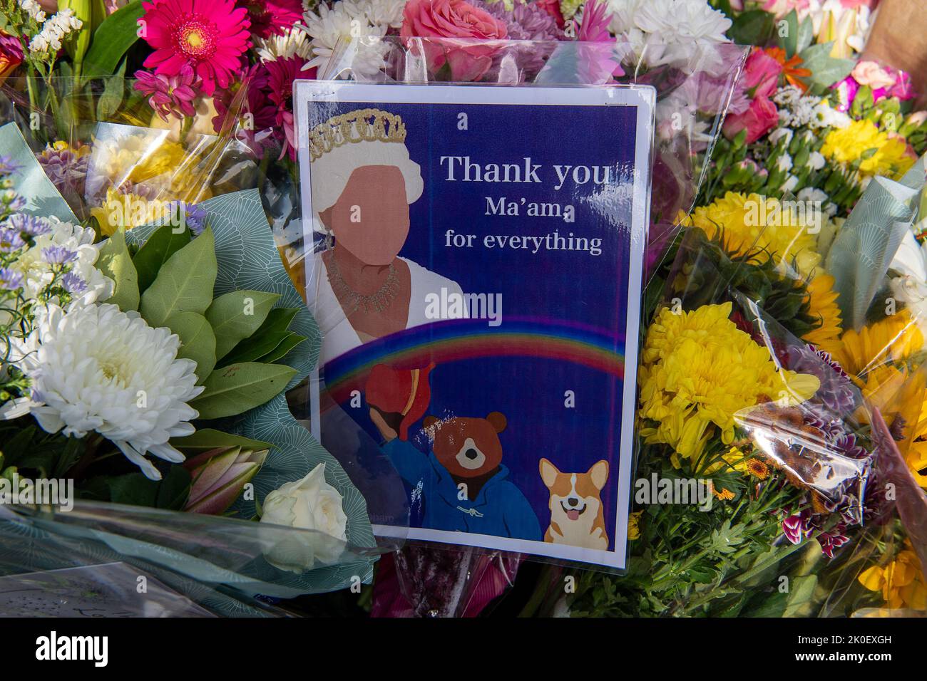 Windsor, Berkshire, Royaume-Uni. 11st septembre 2022. Des milliers de personnes sont venues dans la ville de Windsor aujourd'hui pour déposer des fleurs comme marque de respect après le décès de sa Majesté la Reine. La longue promenade jusqu'aux portes du château de Windsor a été faite un chemin aujourd'hui car il y avait tant de visiteurs. Plus tôt dans la journée, la Proclamation de l'Ascension annonçant le nouveau roi Charles III a été faite à l'extérieur du château de Windsor. Crédit : Maureen McLean/Alay Live News Banque D'Images