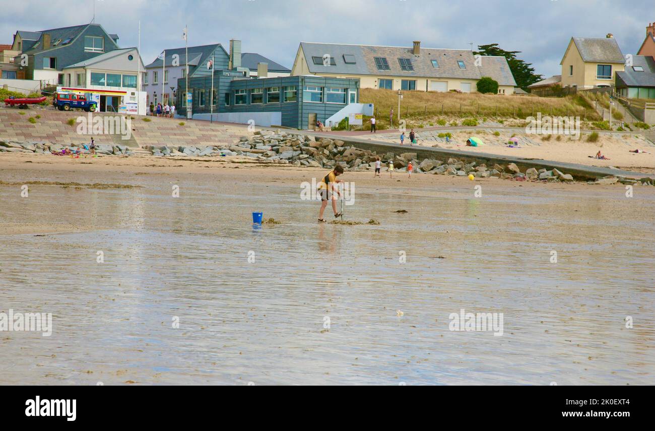 Recherche de vers à Pirou Plage, Normandie, France, Europe Banque D'Images