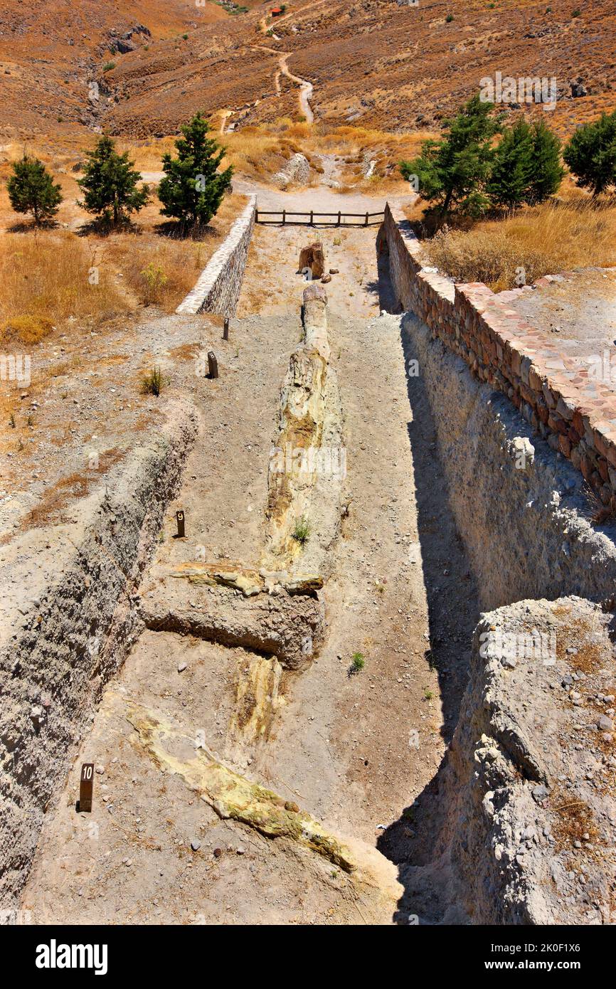 Long arbre pétrifié au parc forestier pétrifié, près du village de Sigri, île de Lesvos, Grèce. Banque D'Images