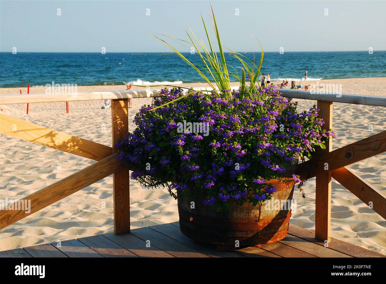 Une plante d'été en pot se trouve au coin d'un pavillon de terrasse en bois à la plage Banque D'Images