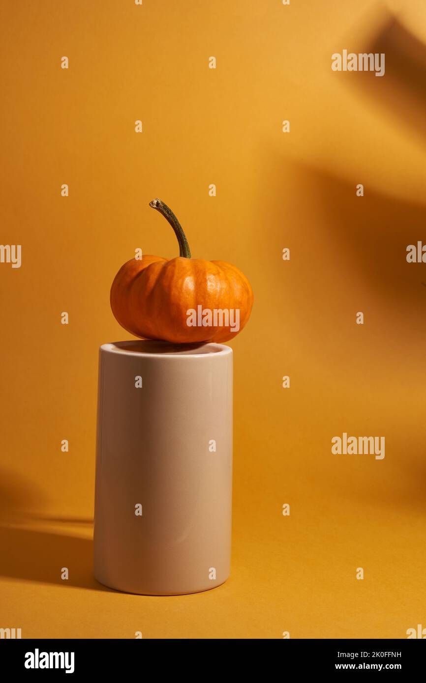 Image verticale. Une citrouille orange sur un podium en porcelaine. Arrière-plan orange avec une ombre provenant d'une feuille de monstère. Avec espace à copier. Photo de haute qualité Banque D'Images