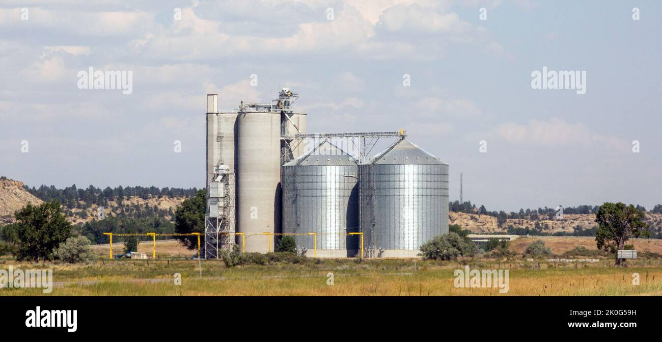 Stockage du grain dans des silos en béton et des bacs métalliques près de Nibbe, MT et Pompey's Pillar dans le comté de Yellowstone - centre-sud du Montana Banque D'Images
