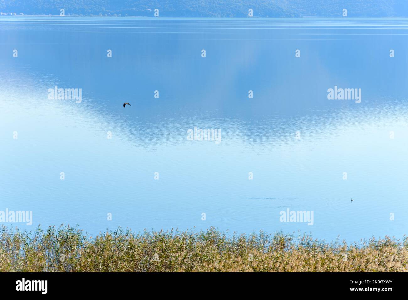 Petit lac Prespa en Macédoine, dans le nord de la Grèce Banque D'Images