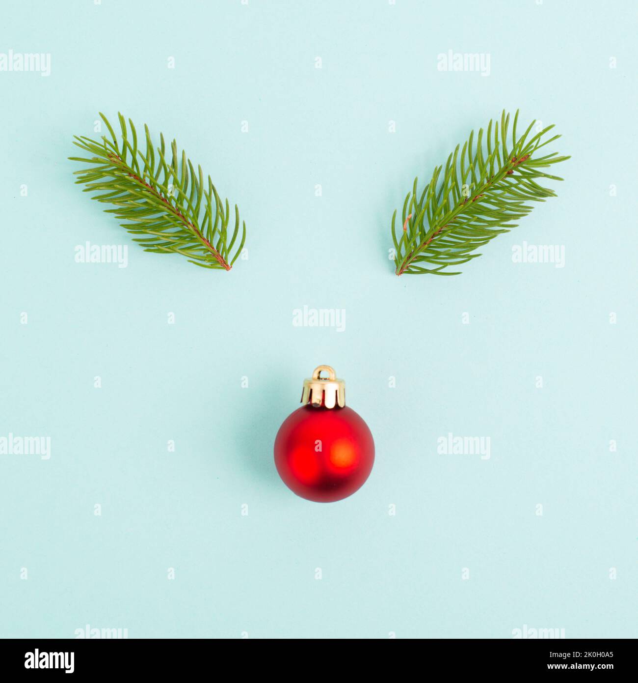 Visage d'un renne avec un nez de boule rouge et des bois de sapin, carte de vœux de joyeux noël Banque D'Images