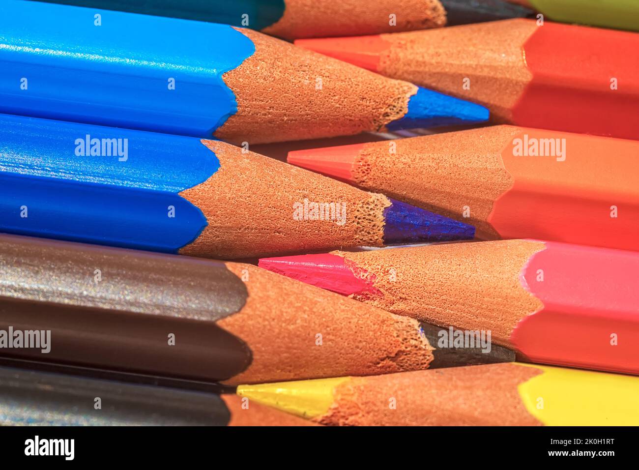 Jeu de crayons pastel de couleur en rangée multicolore sous la forme d'une fermeture éclair fermée et d'un taille-crayon Banque D'Images
