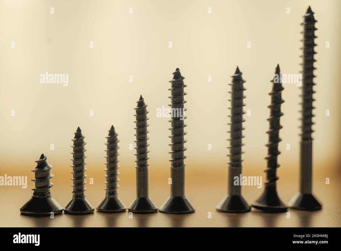 Une rangée de vis de tailles différentes sur une surface en bois Banque D'Images