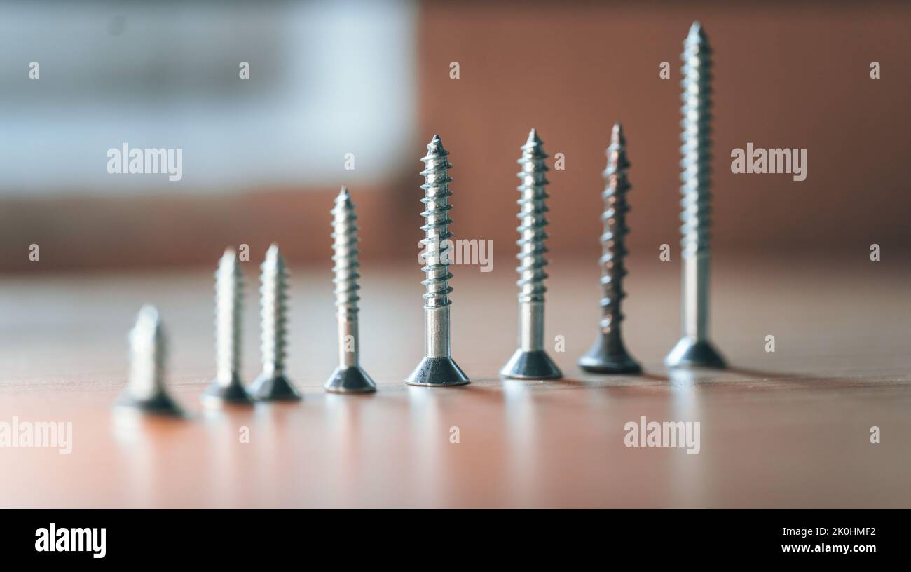 Une rangée de vis de tailles différentes sur une surface en bois Banque D'Images