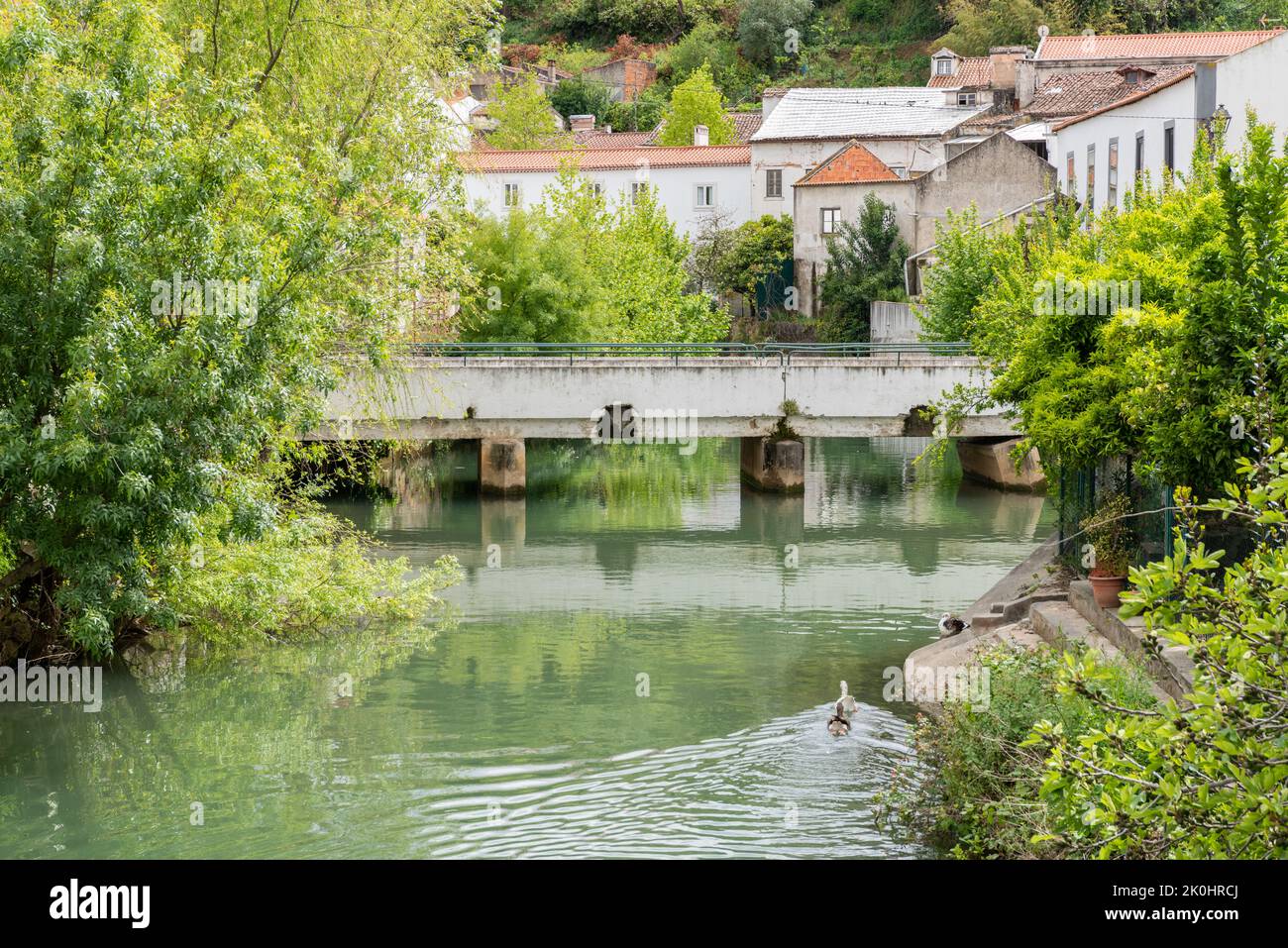 Une vue pittoresque sur les toits rouges et un pont sur la rivière Almonda à Torres Novas, Santarem, Portugal. Banque D'Images