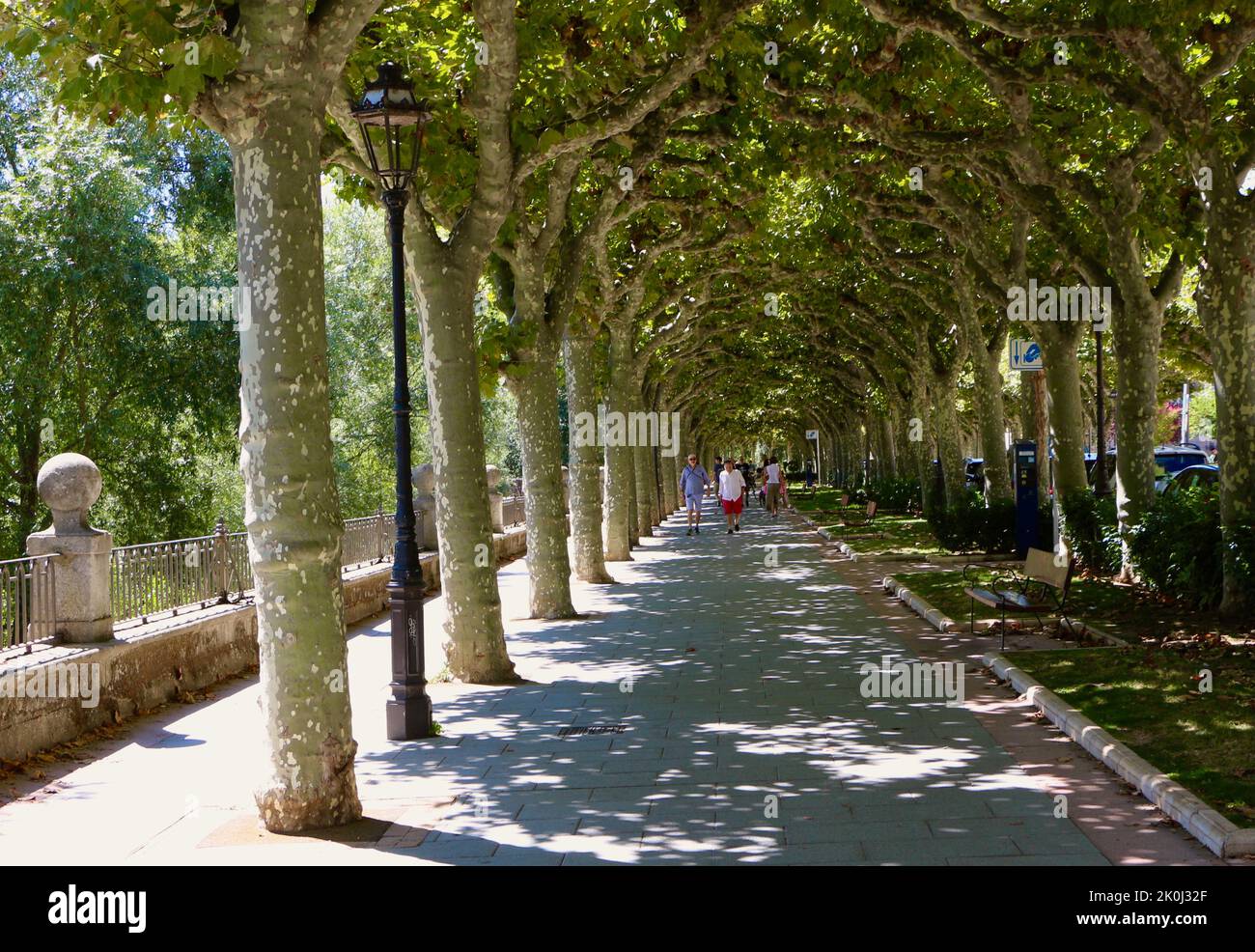 Une route piétonne bordée d'arbres, à côté de la rivière Arlanzon, l'après-midi d'été, Paseo de la Audencia Burgos Castille et Leon Espagne Banque D'Images