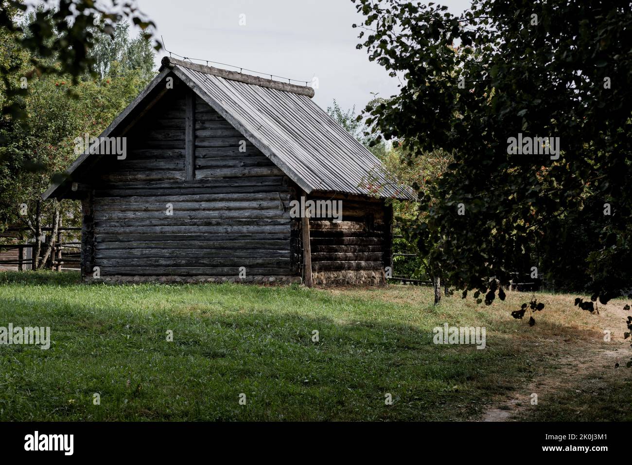 Ancienne maison en bois. Hutte rustique. Cabane en bois dans la forêt. Banque D'Images