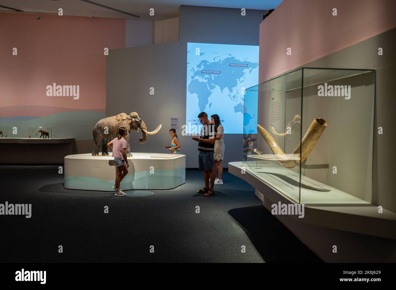 Exposition 'Mamut' au CaixaForum sur les mammouths, les géants de l'âge de glace, Saragosse, Espagne. Banque D'Images