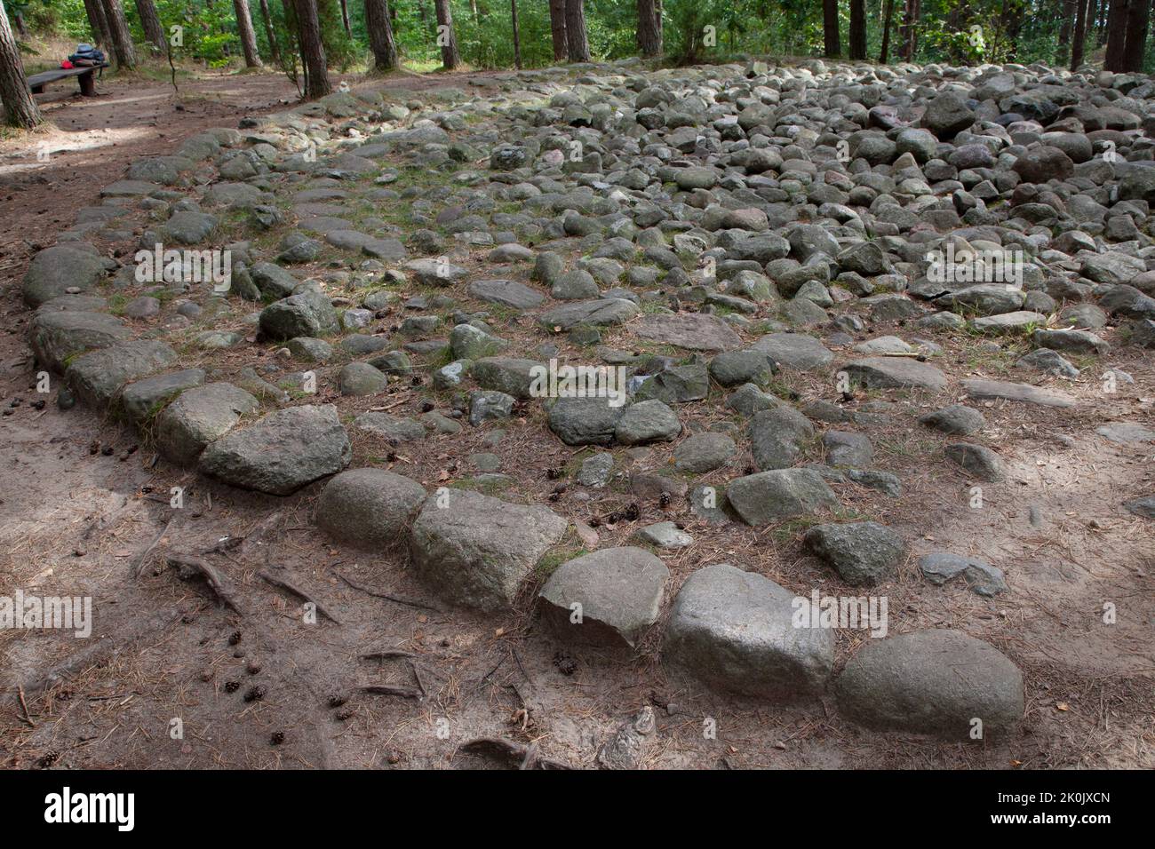 Cercles de pierre mégalithique en Węsiory Pologne - Kamienne kręgi Węsiory Polska Banque D'Images