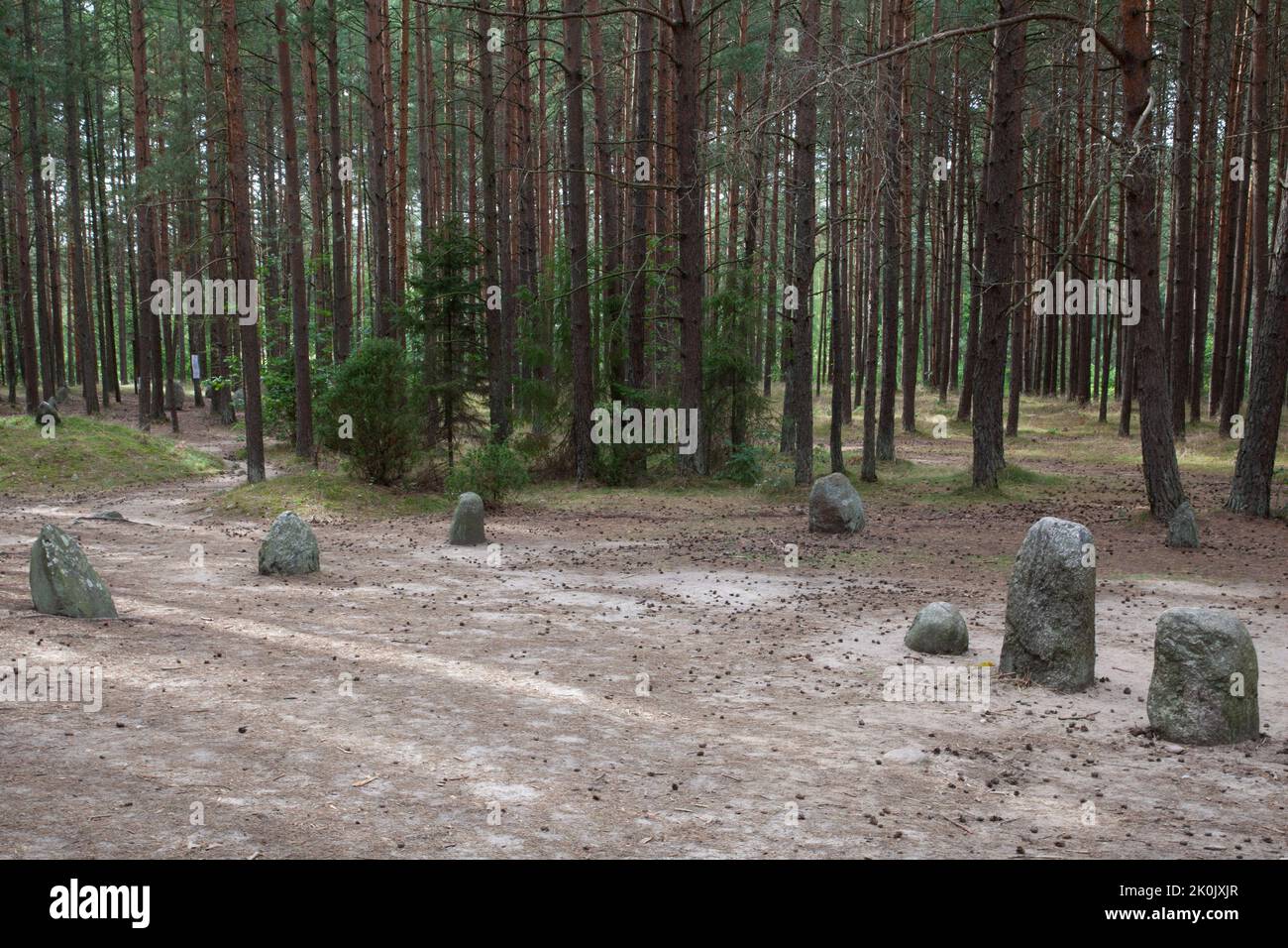 Cercles de pierre mégalithique en Węsiory Pologne - Kamienne kręgi Węsiory Polska Banque D'Images