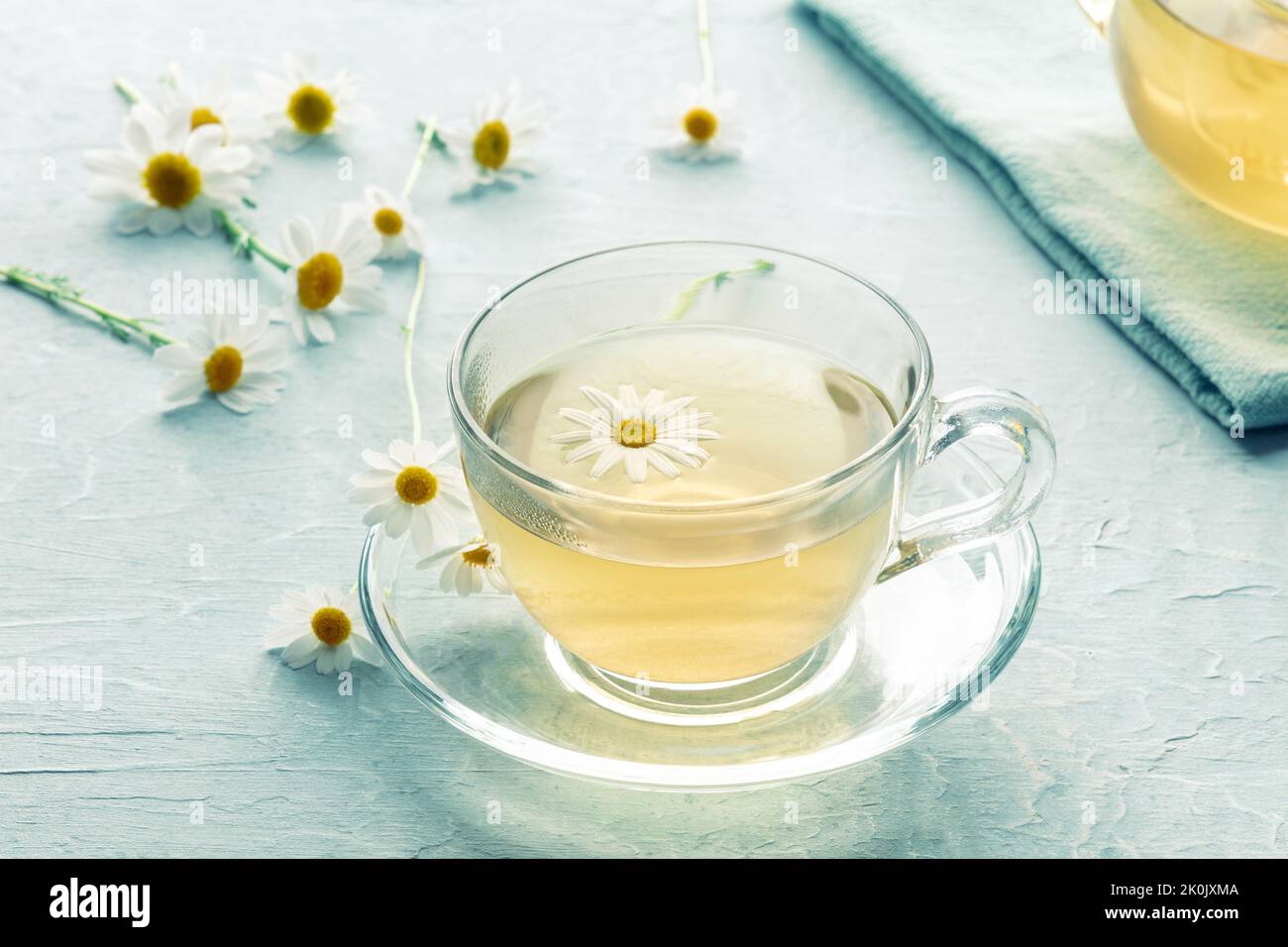 Thé de camomille dans une tasse, une infusion de plantes pour se détendre, herbes organiques Banque D'Images