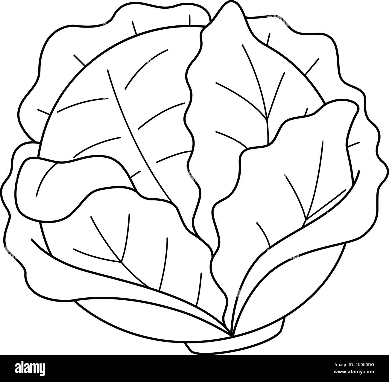 Page de coloriage isolé de légumes de chou pour les enfants Illustration de Vecteur