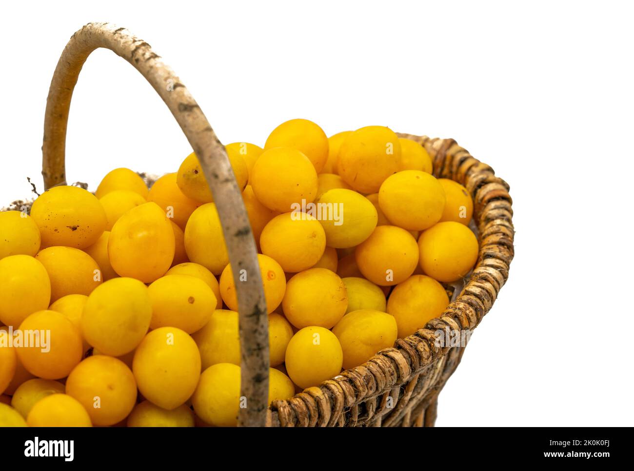 Verser des prunes dans un panier isolé sur un fond blanc Banque D'Images