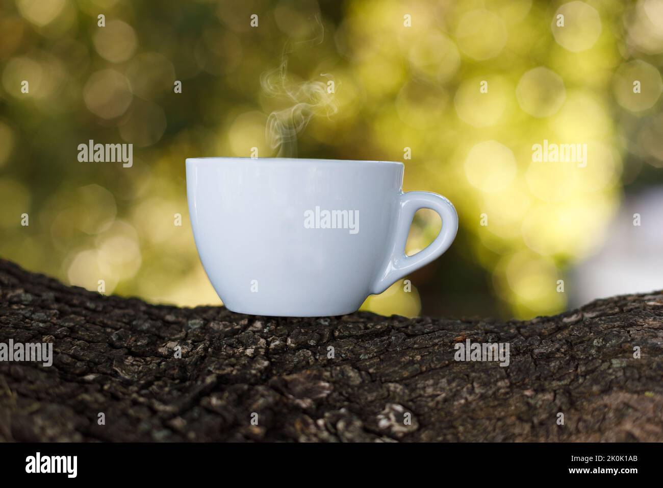 Tasse de café blanc classique, chaude sur une branche d'arbre, arrière-plan flou. Copier l'espace. Banque D'Images