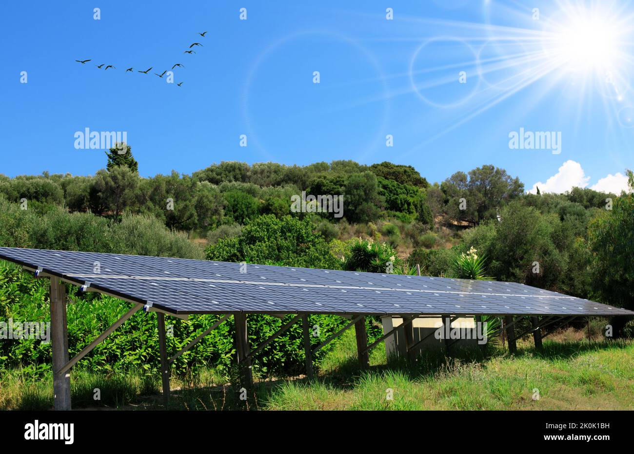 Piles solaires dans le jardin. Jardin vert avec panneaux solaires pour l'énergie solaire, l'adaptation au climat et la stimulation de la biodiversité Banque D'Images