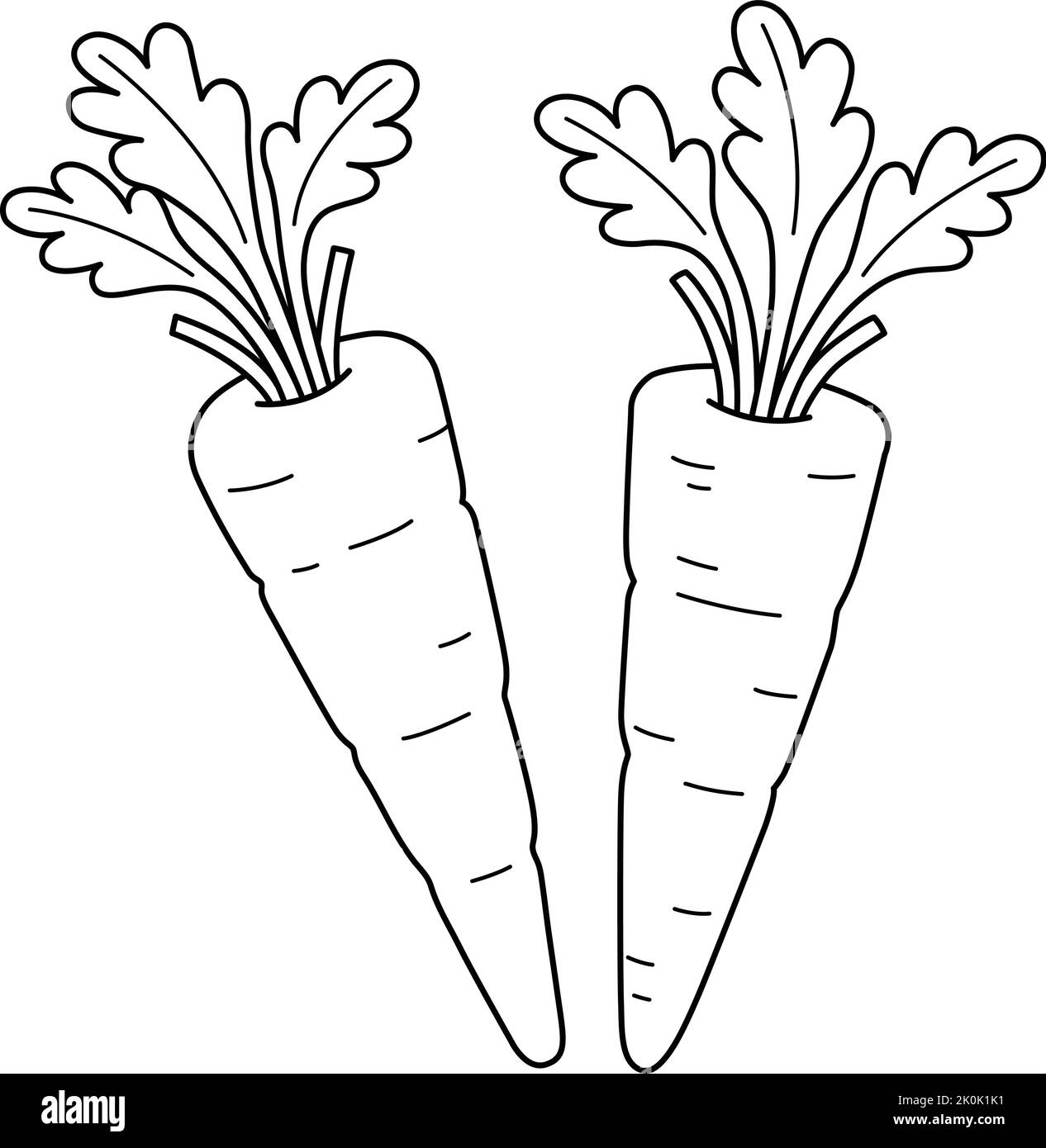 Carottes page de coloriage isolée de légumes pour les enfants Illustration de Vecteur