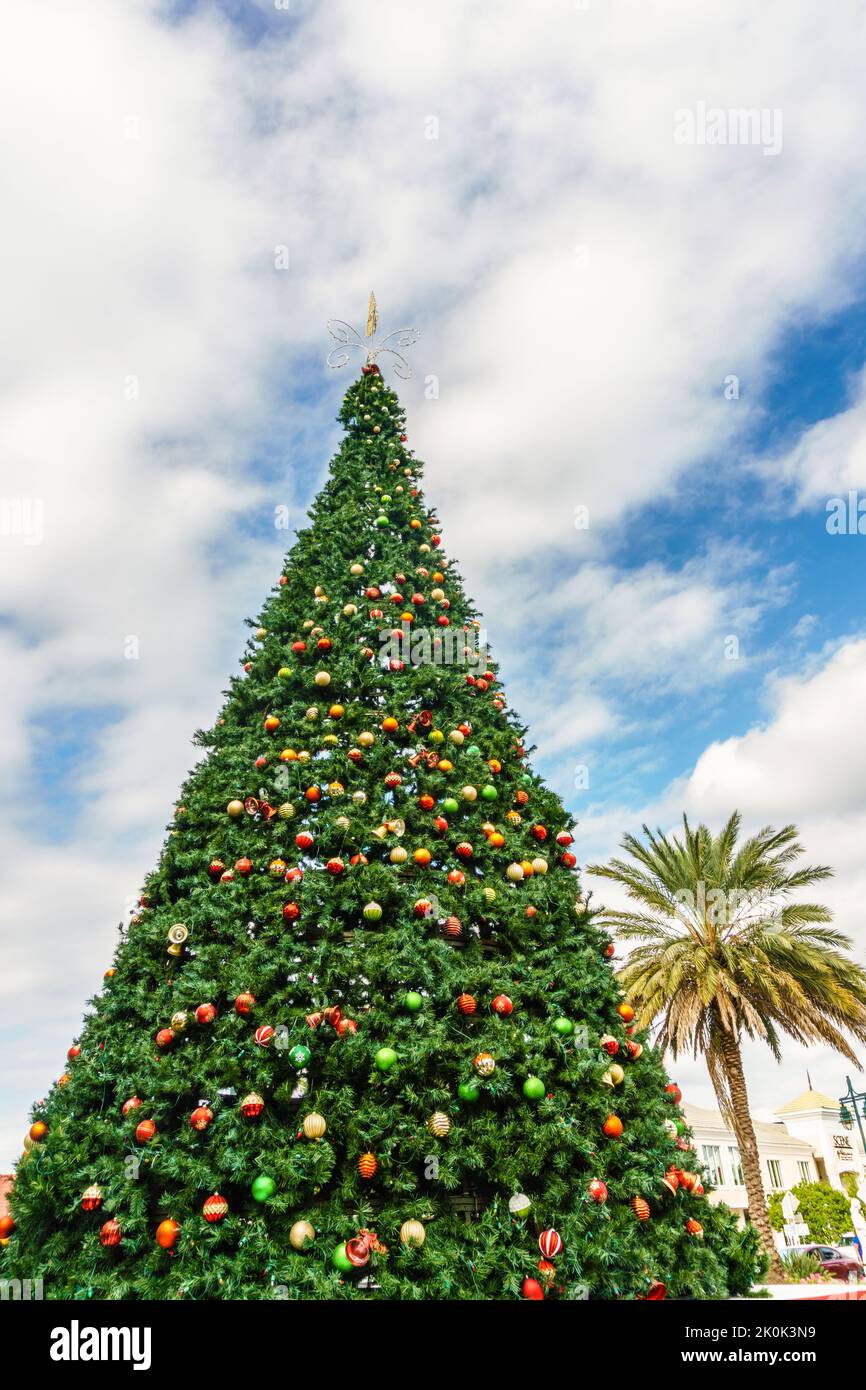 Arbre de noël décoré dans un cadre tropical avec un palmier en arrière-plan. Banque D'Images