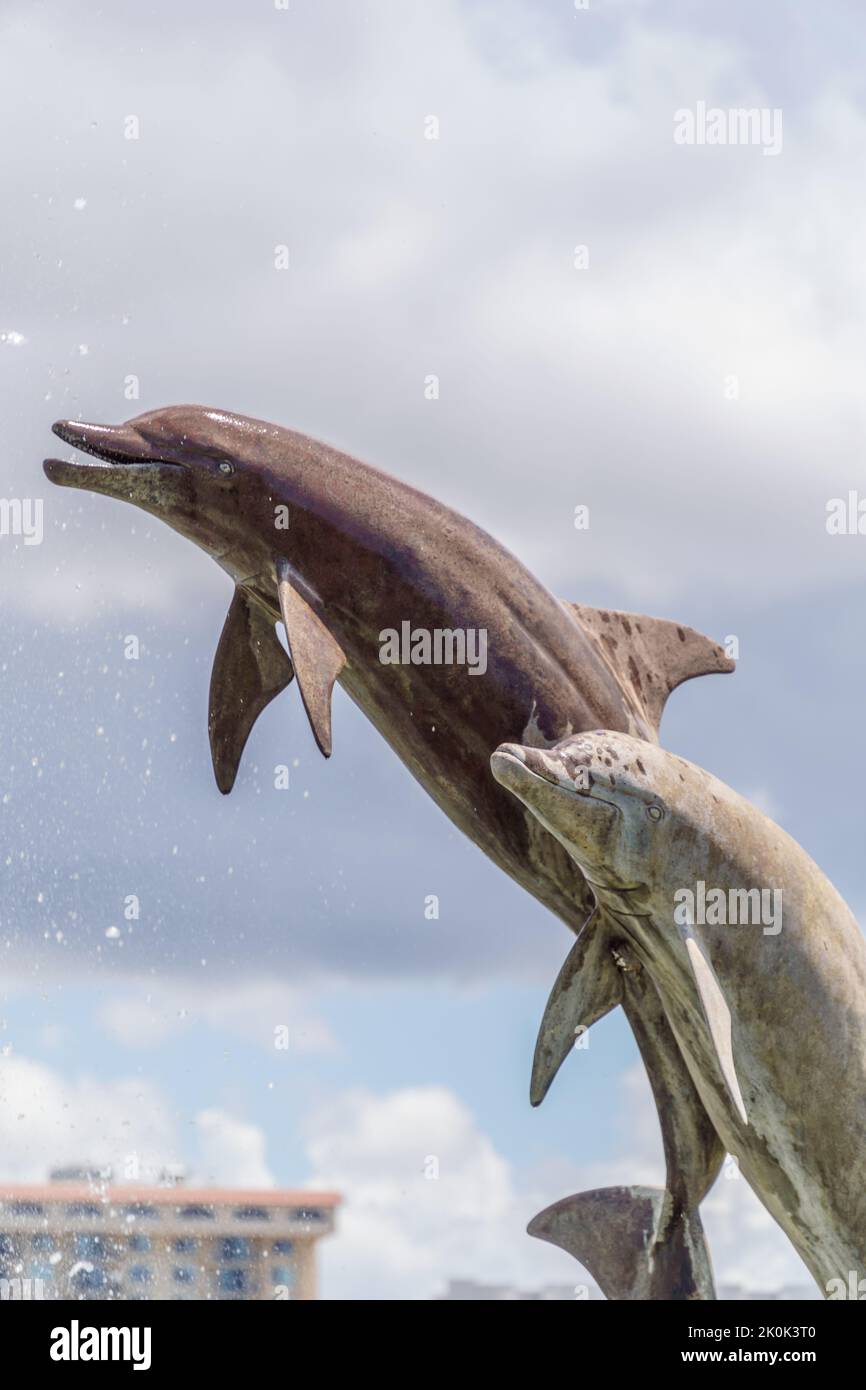 Sarasota, FL, US-26 novembre 2021 : statue emblématique de marsouins également connue sous le nom de dauphins dans Bayfront, un parc public. Banque D'Images