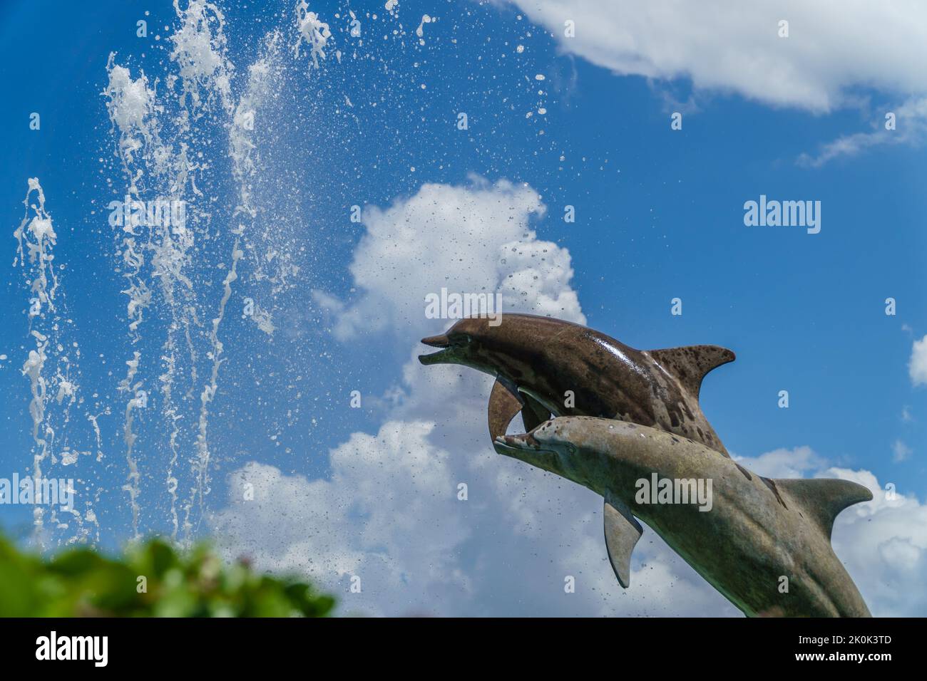 Sarasota, FL, US-26 novembre 2021 : statue emblématique de marsouins également connue sous le nom de dauphins dans Bayfront, un parc public. Banque D'Images