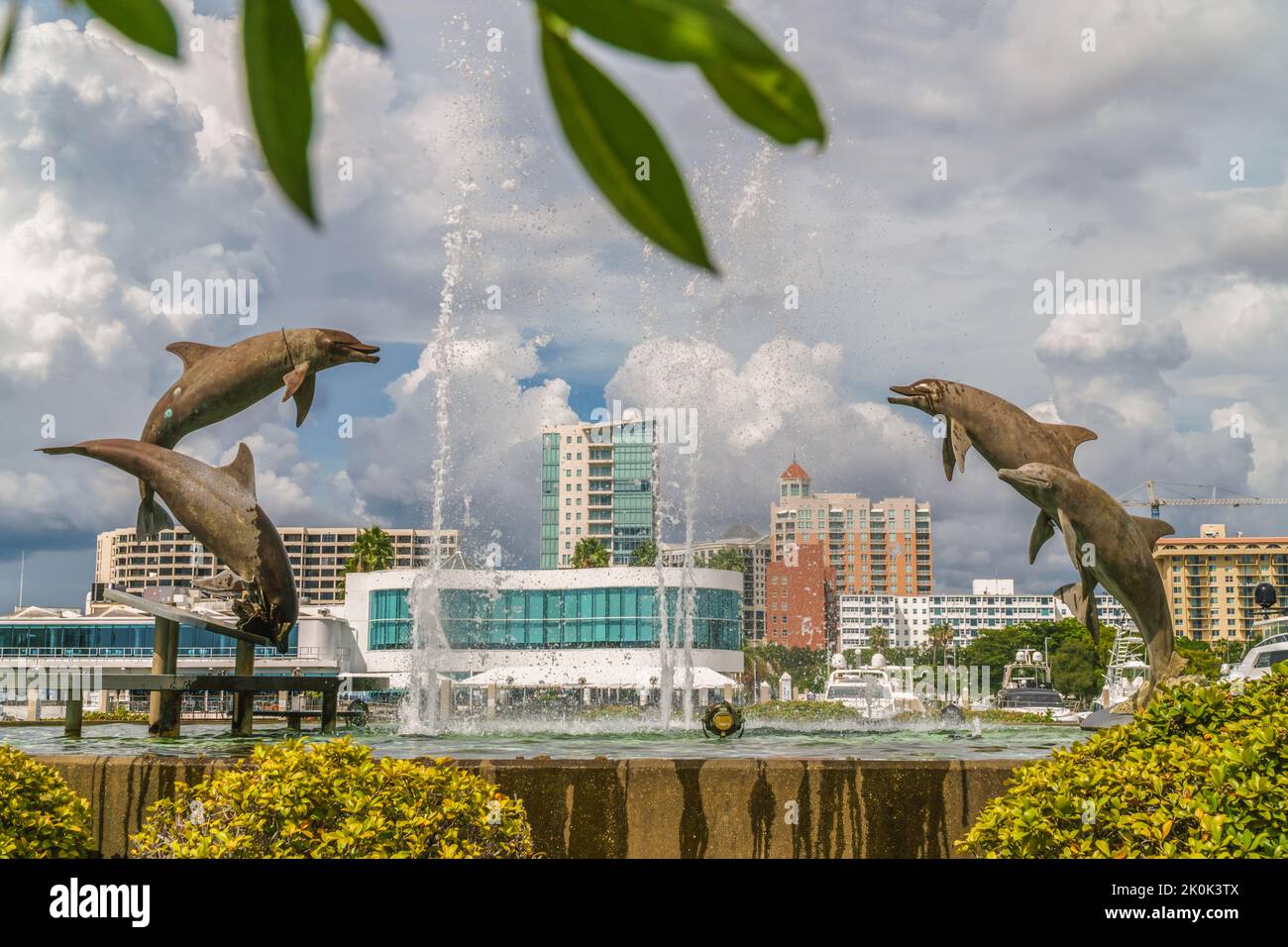 Sarasota, FL, US-26 novembre 2021 : statue emblématique de marsouins également connue sous le nom de dauphins dans Bayfront, un parc public. Banque D'Images