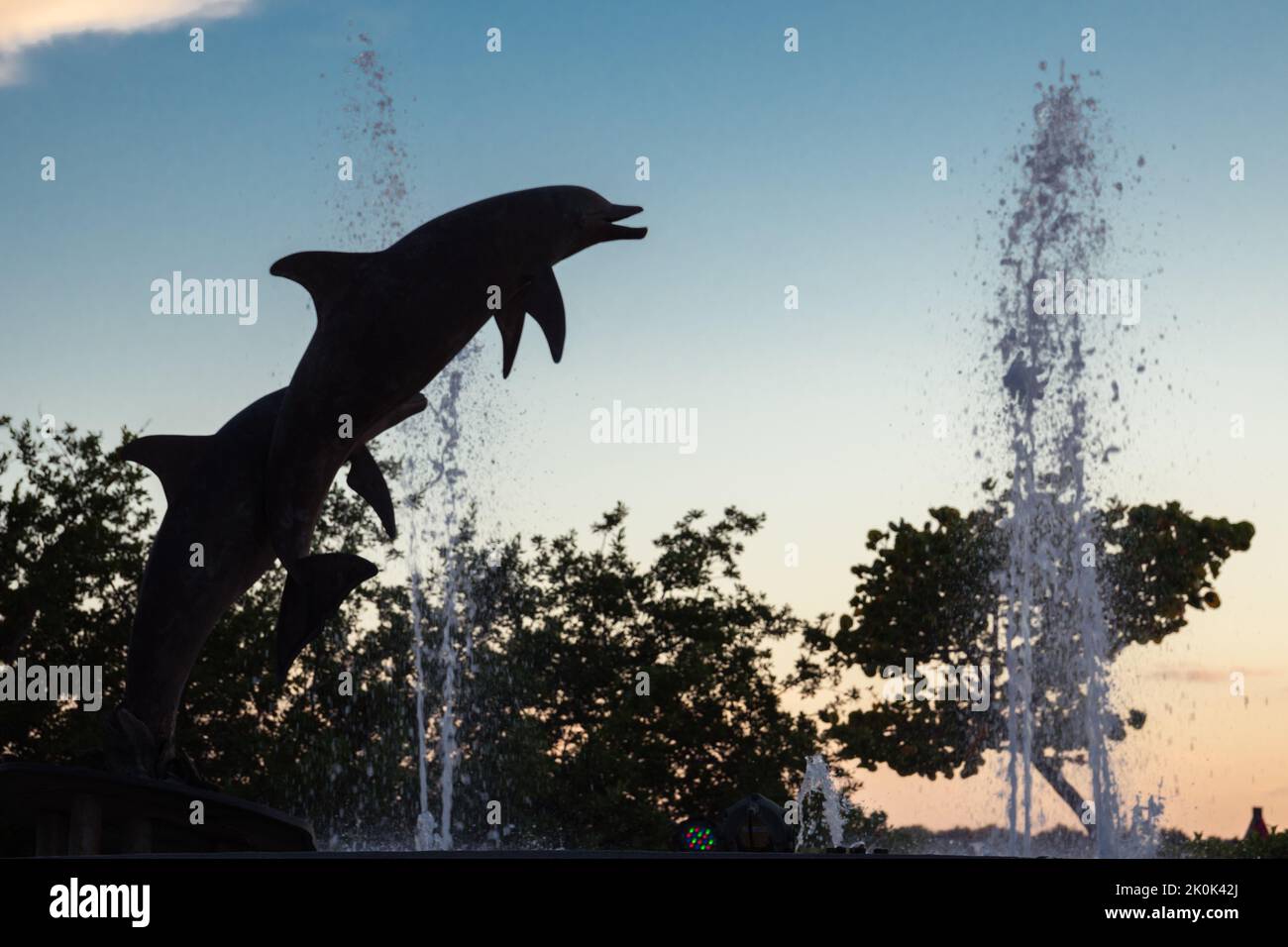 Sarasota, FL, US-26 novembre 2021 : statue emblématique de marsouins également connue sous le nom de dauphins dans Bayfront, un parc public. Banque D'Images