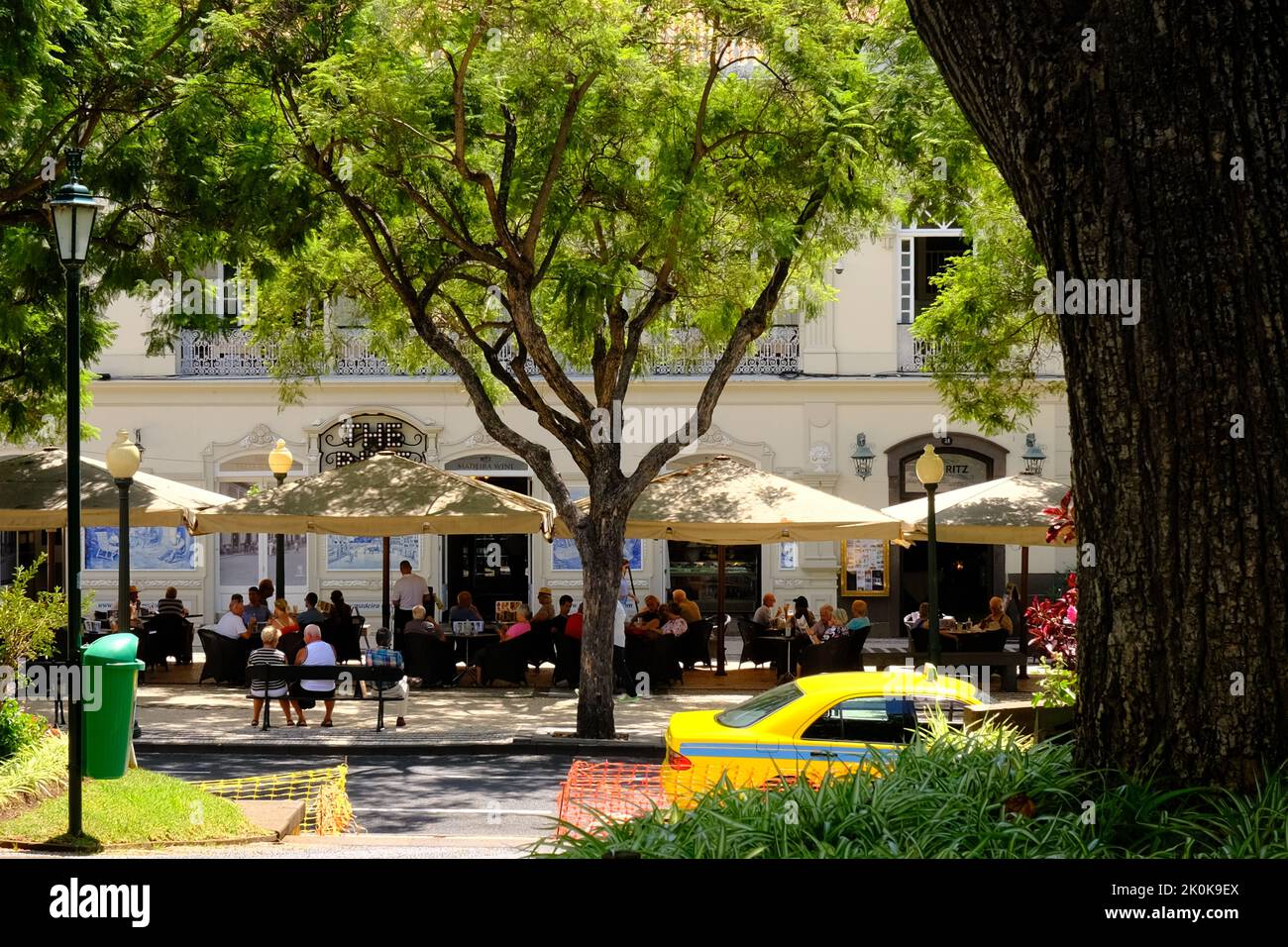 Jardim Municipal, Jardins de la ville, Funchal Madère, Portugal Banque D'Images