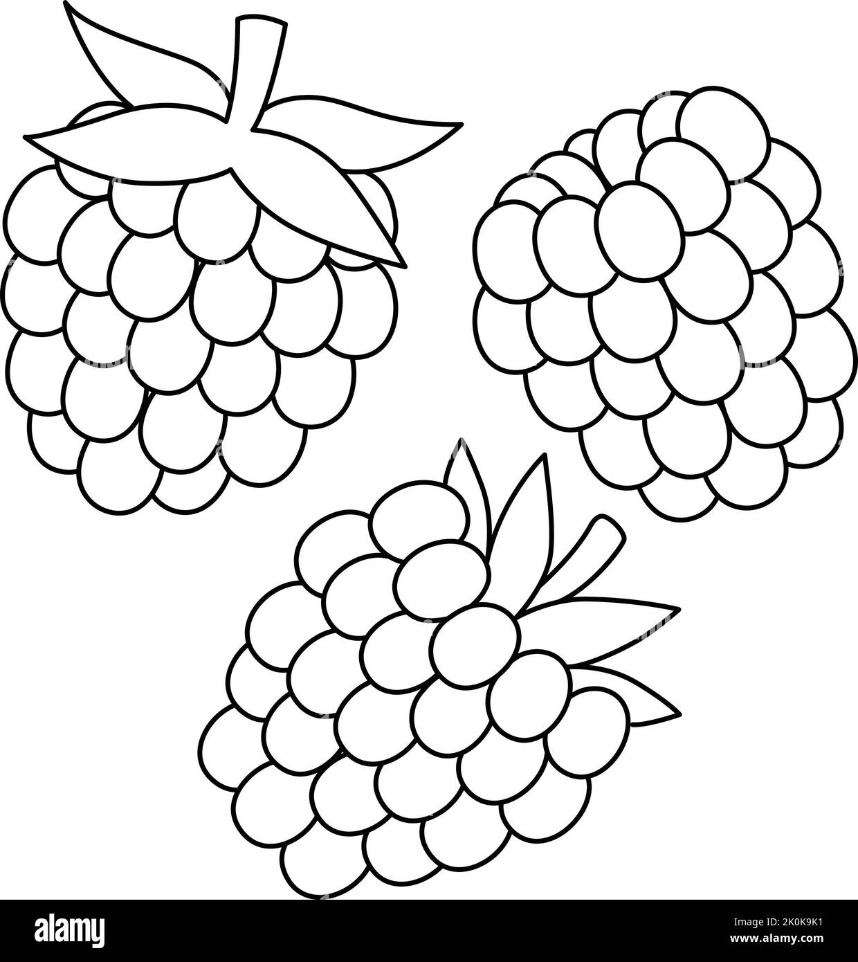 Page de coloriage isolée pour les fruits à framboise pour les enfants Illustration de Vecteur