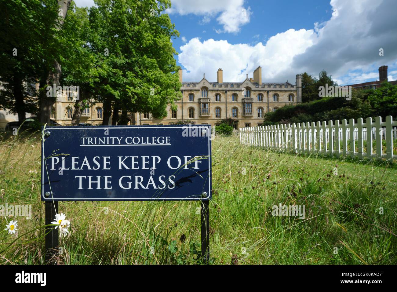 Devant les bâtiments de Trinity College, un panneau indiquant Grass à côté d'un jardin entouré d'une clôture de piquets blancs. À Cambridge, en Angleterre, a Uni Kin Banque D'Images