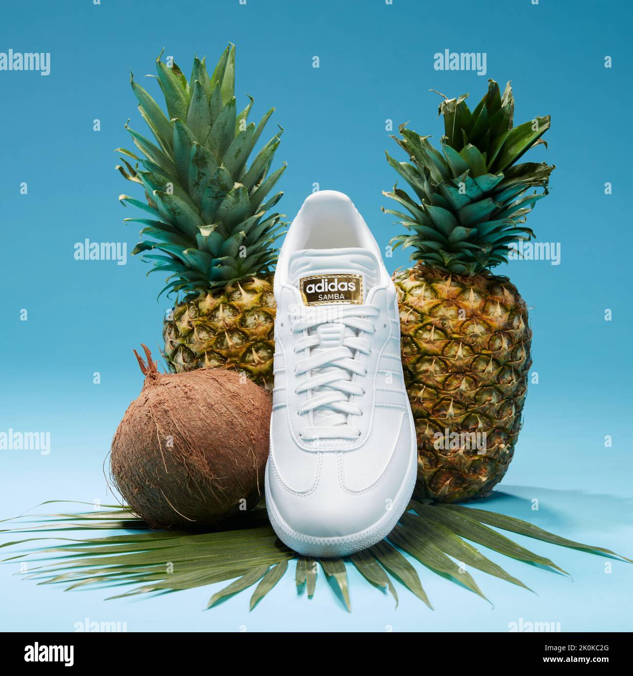 chaussure edition limitée 2018