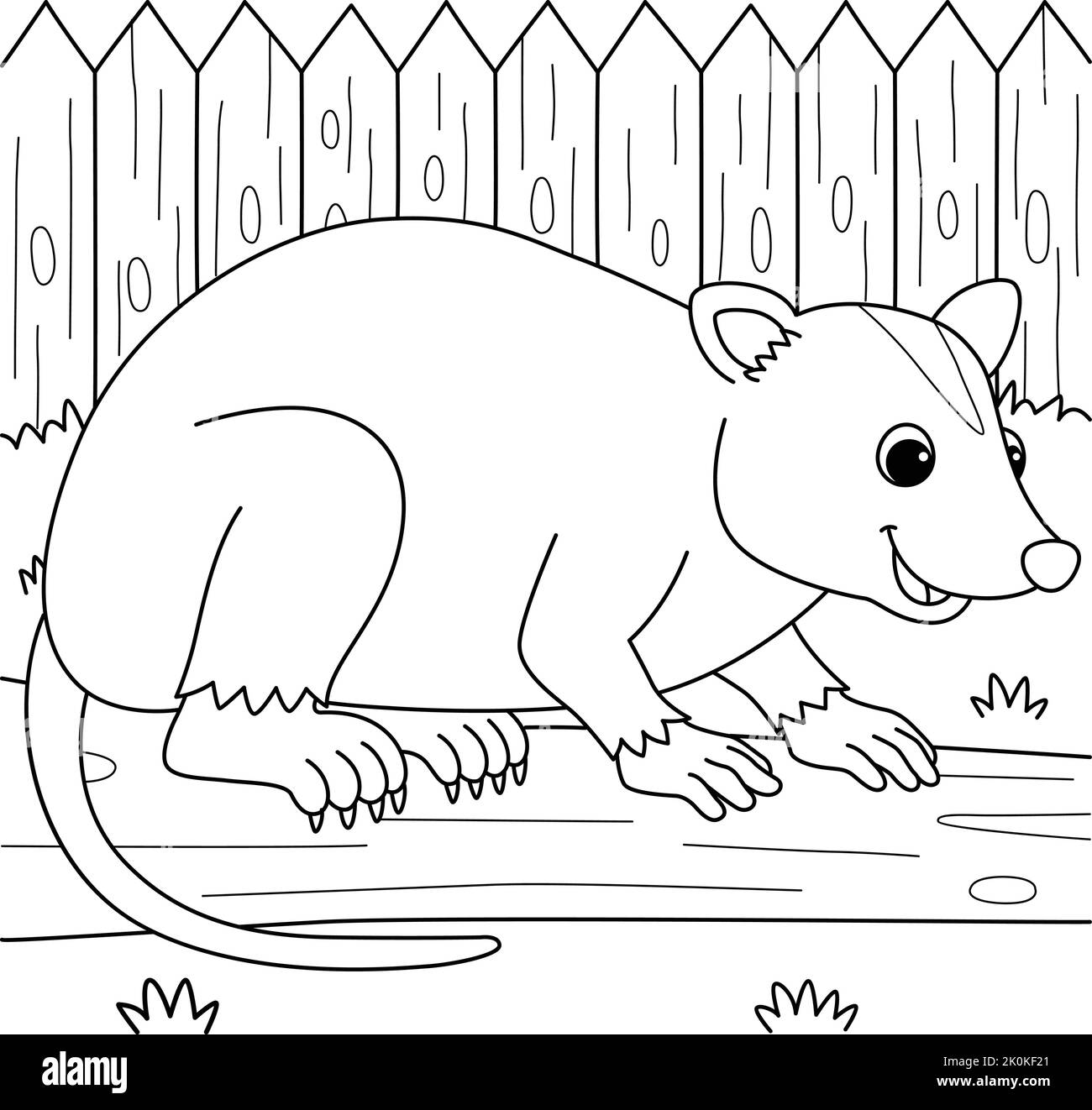 Page de coloriage pour animaux Opossum pour enfants Illustration de Vecteur