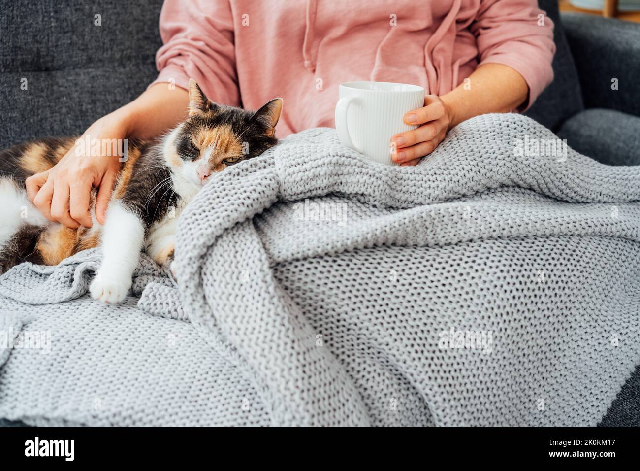 Une femme en gros plan dans un plat qui boit du thé chaud, petant un chat détendu sur le canapé à la maison. Week-ends d'hiver ou d'automne confortables. Des façons agréables Banque D'Images Une femme en gros plan dans un plat qui boit du thé chaud, petant un chat détendu sur le canapé à la maison. Week-ends d'hiver ou d'automne confortables. Des façons agréables Banque D'Images